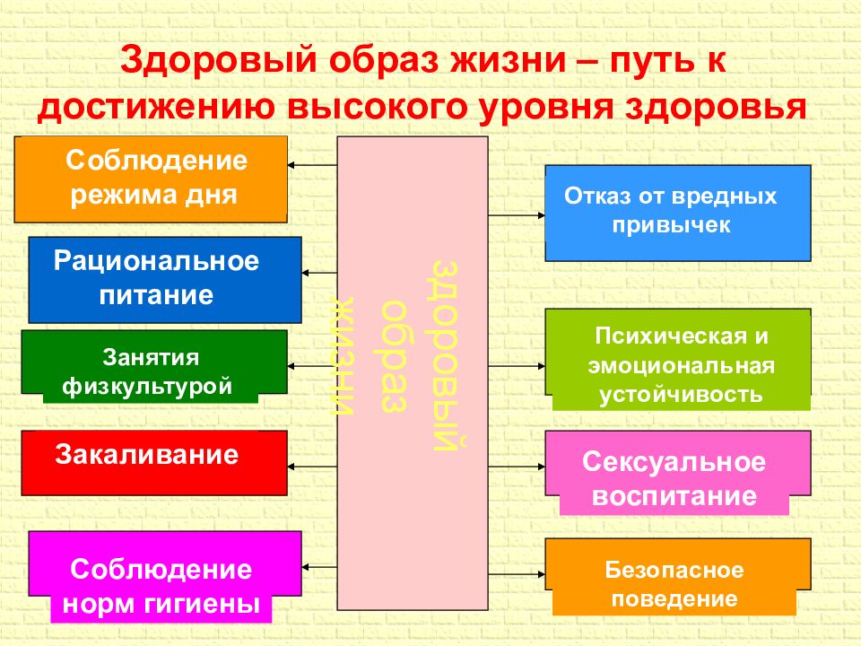 Презентация по обж 9 класс здоровый образ жизни путь к достижению высокого уровня здоровья