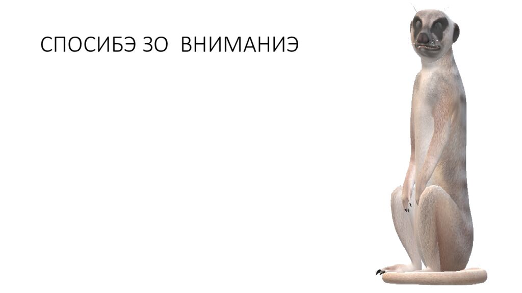 СПОСИБЭ ЗО ВНИМАНИЭ