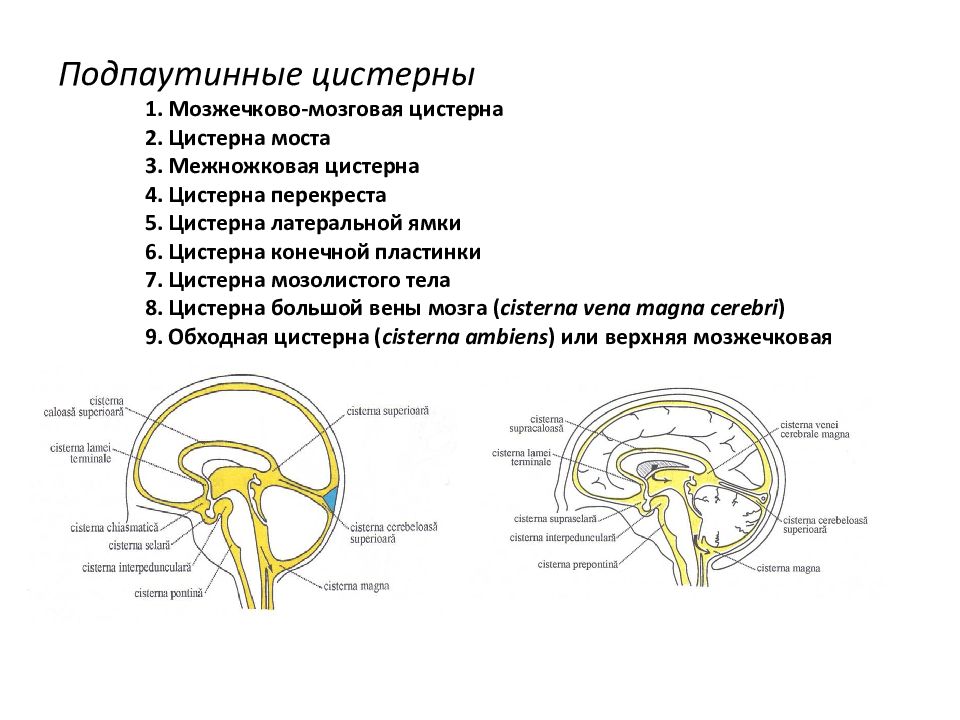 Мозжечковые цистерны