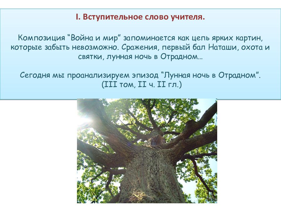 Анализ эпизода дуб. Анализ эпизода ночь в Отрадном. Анализ эпизода Лунная ночь в Отрадном.