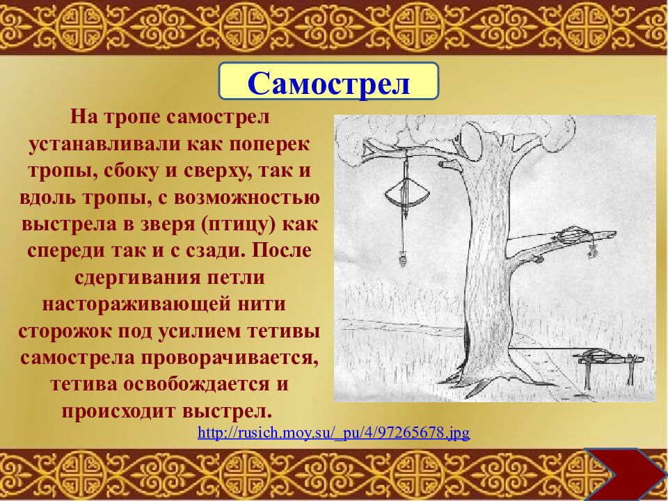 Муниципальное общеобразовательное учреждение «Средняя общеобразовательная