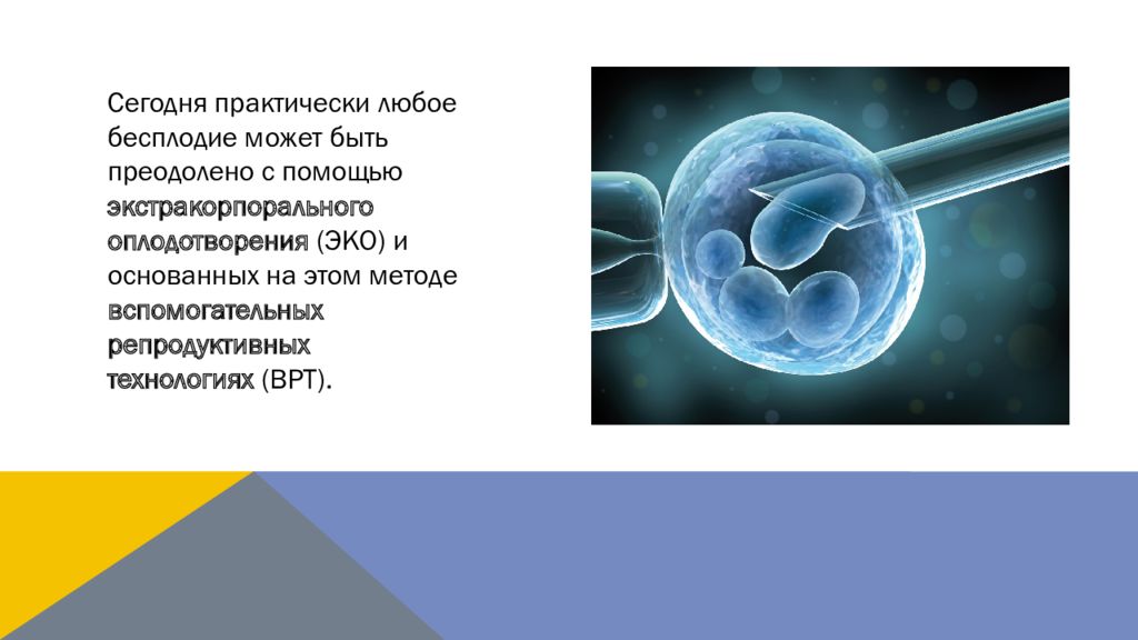 Репродуктивные технологии презентация