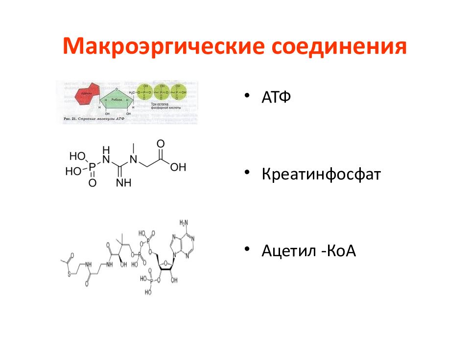 Макроэргическое соединение АТФ. Строение макроэргов АТФ. Формула макроэргического соединения АТФ. Макроэргические соединения биохимия.