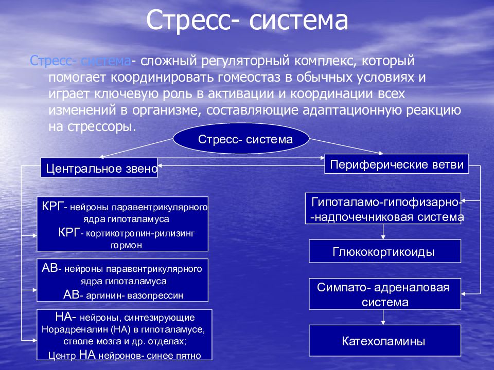 Патофизиология стресса презентация