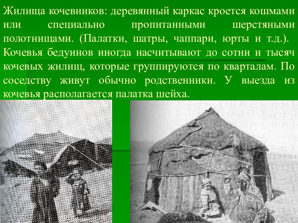 Рассказ об одном дне жизни ногайского кочевья