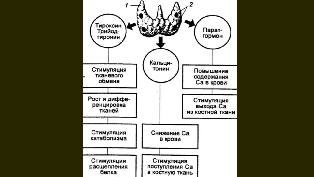 Презентация заболевание мочевыделительной системы у детей