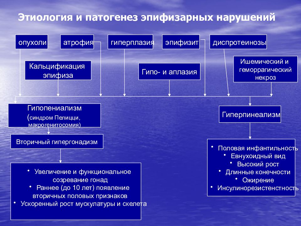 Синдром конна презентация патофизиология