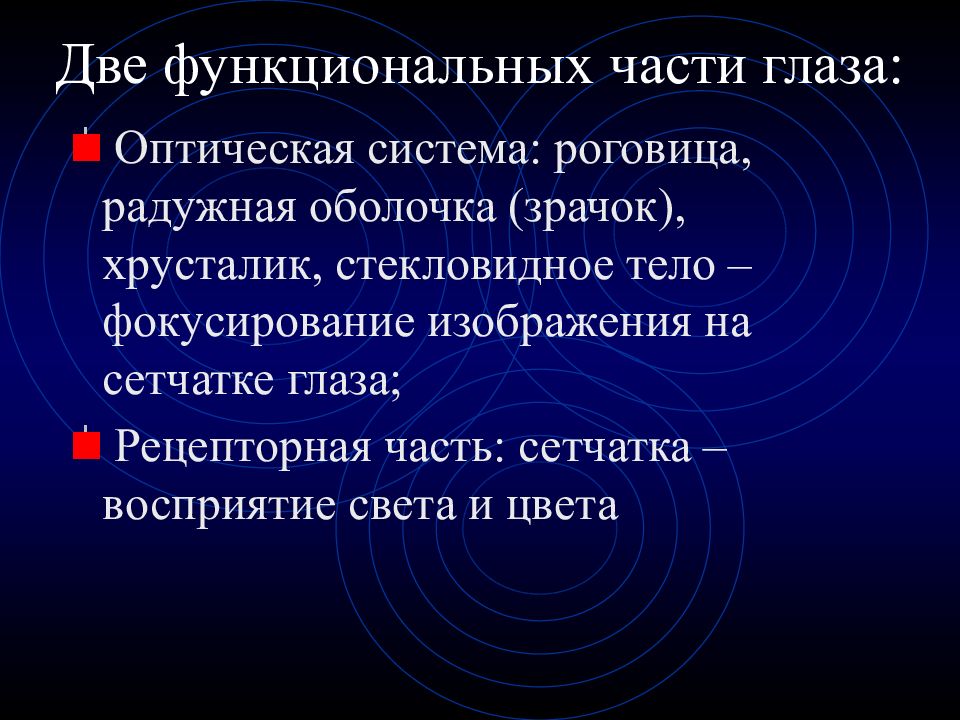 Участие в восприятии света какая оболочка