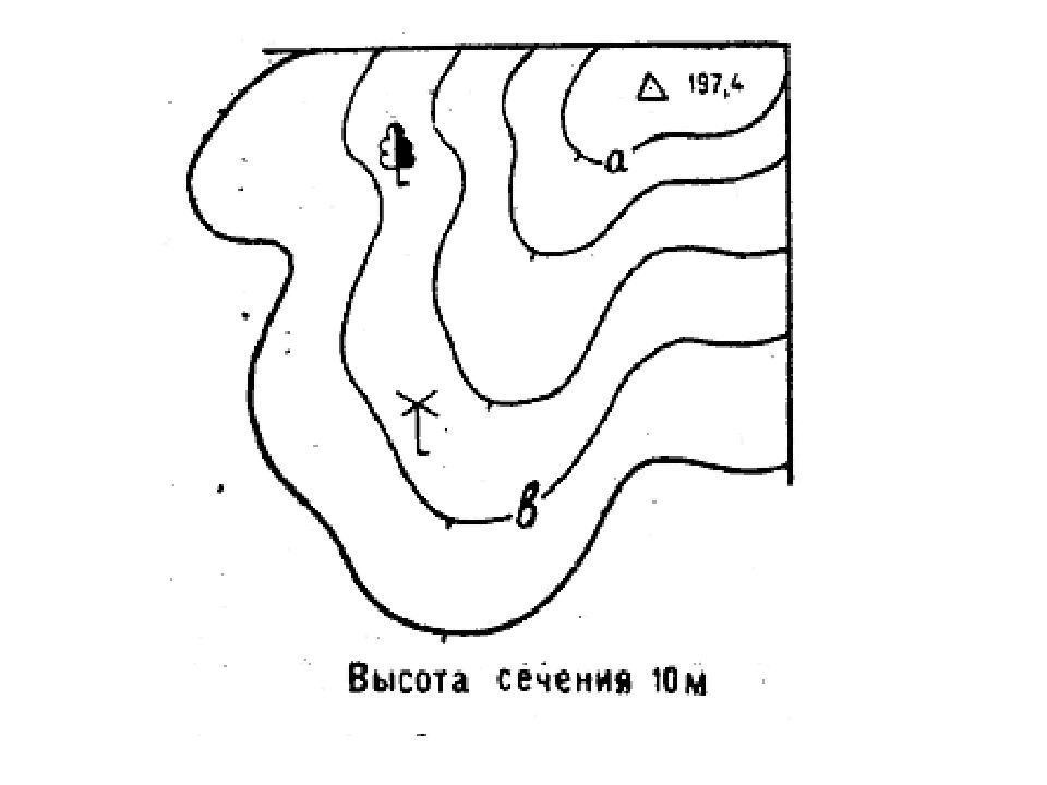 Высота сечения. Определение абсолютной высоты на топографической карте. Отметки высот на топографической карте. Отметки горизонталей. Как определить горизонтали на карте.