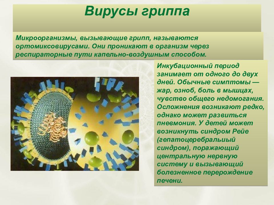 Название заболеваний вирусов. Грипп вызывается бактериями. Вирус гриппа заболевания. Микроорганизм, вызывающий заболевание гриппом. Бактерии и вирусы заболевания.