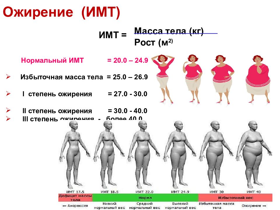 Имт с картинкой