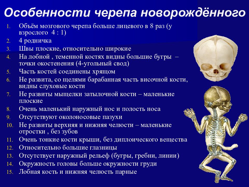 Мозговой череп новорожденного. Особенности черепа новорожденного. Кости черепа у новорожденного. Череп младенца анатомия.