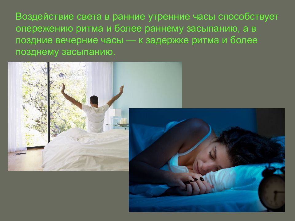 Циркадное освещение. Профилактика нарушения сна. Снижение работоспособности. Циркадные ритмы. Профилактика нарушения сна картинка