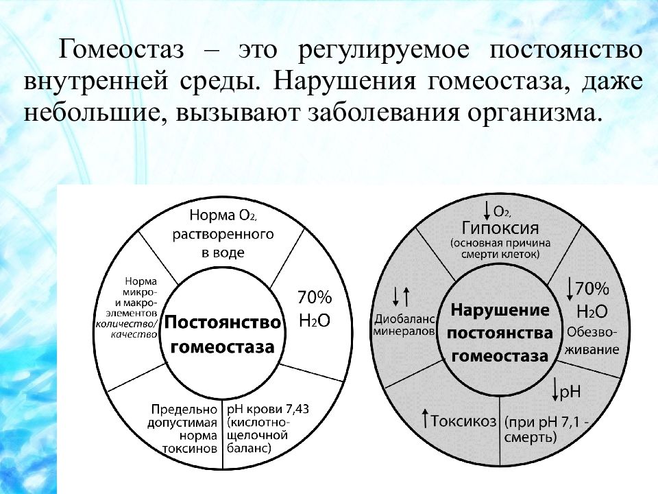 Заполните схему постоянство внутренней среды организма