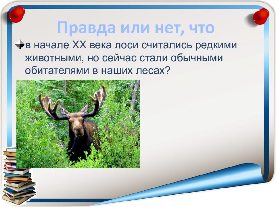 Правда лес. Правда или нет?. Правда или нет фото. Век Лось 90. Легенда это правда или нет.