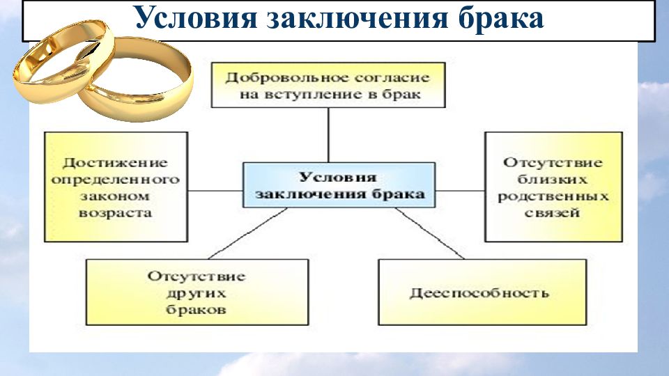 Семейные правоотношения план егэ