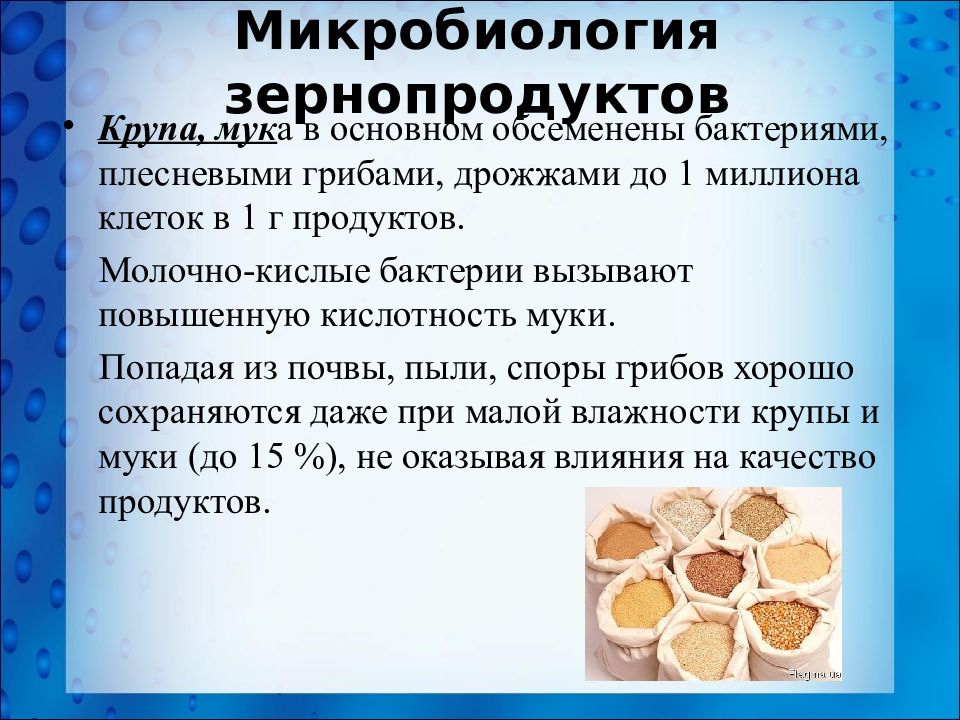 1 г основа. Дрожжи микробиология. Дрожжи микробы. Микробиология зерна, муки и круп.. Морфология дрожжей микробиология.