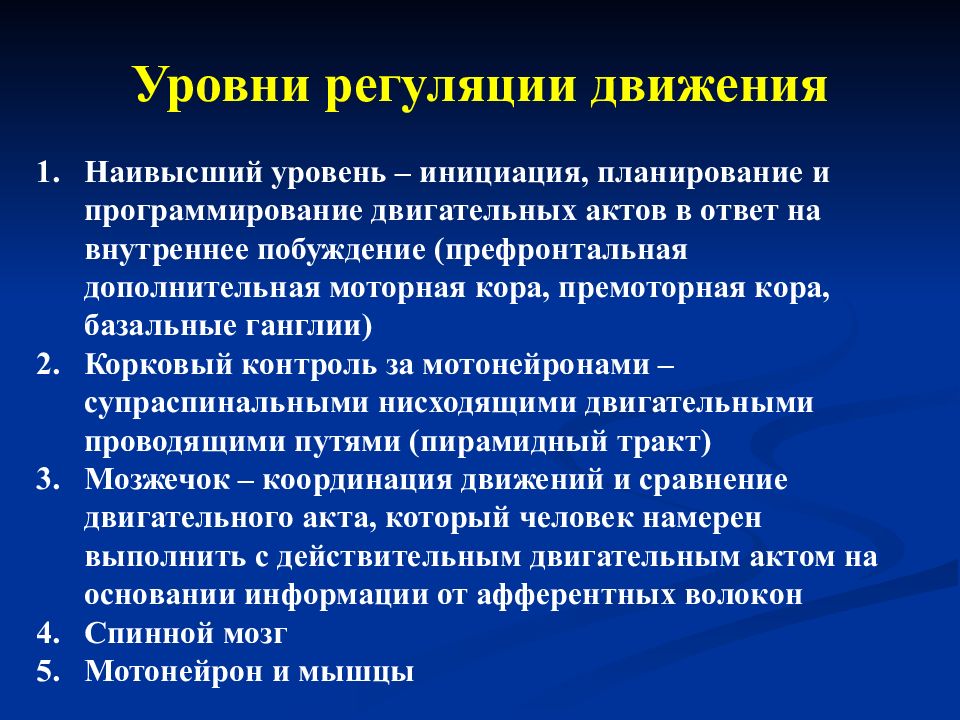 Уровни регуляции. Уровни регуляции движений. Уровни организации и регуляции двигательных функций.. Центральные механизмы регуляции движений.