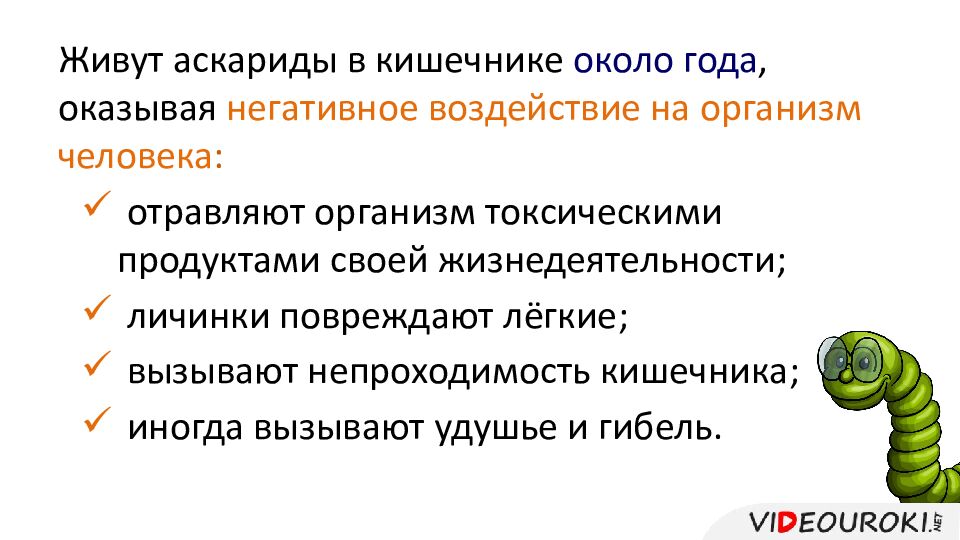 Живут аскариды в кишечнике около года, оказывая негативное воздействие на организм человека :