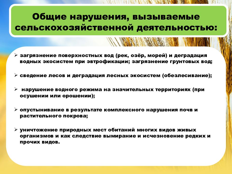 Сельская среда. Проблемы сельского хозяйства. Экологические проблемы сельского хозяйства. Пути решения экологических проблем сельского хозяйства. Экологические проблемы растениеводства.