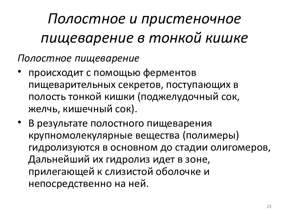 Полостное пищеварение. Внутриполостное и пристеночное пищеварение в тонком кишечнике. Полостное и пристеночное пищеварение физиология. Особенности полостного пищеварения таблица. Полостное и пристеночное пищеварение таблица.