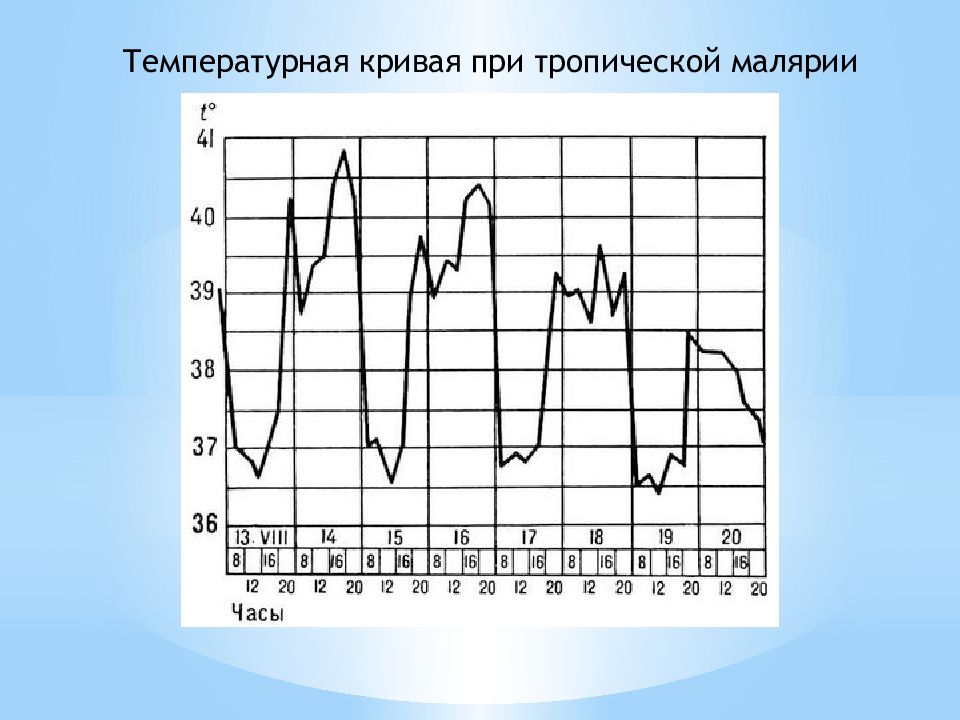 Характерная температура. Температурная кривая при малярии 3 дневной. Тропическая малярия температурная кривая. Тип температурной Кривой при трехдневной малярии. Типы температурных кривых при малярии.