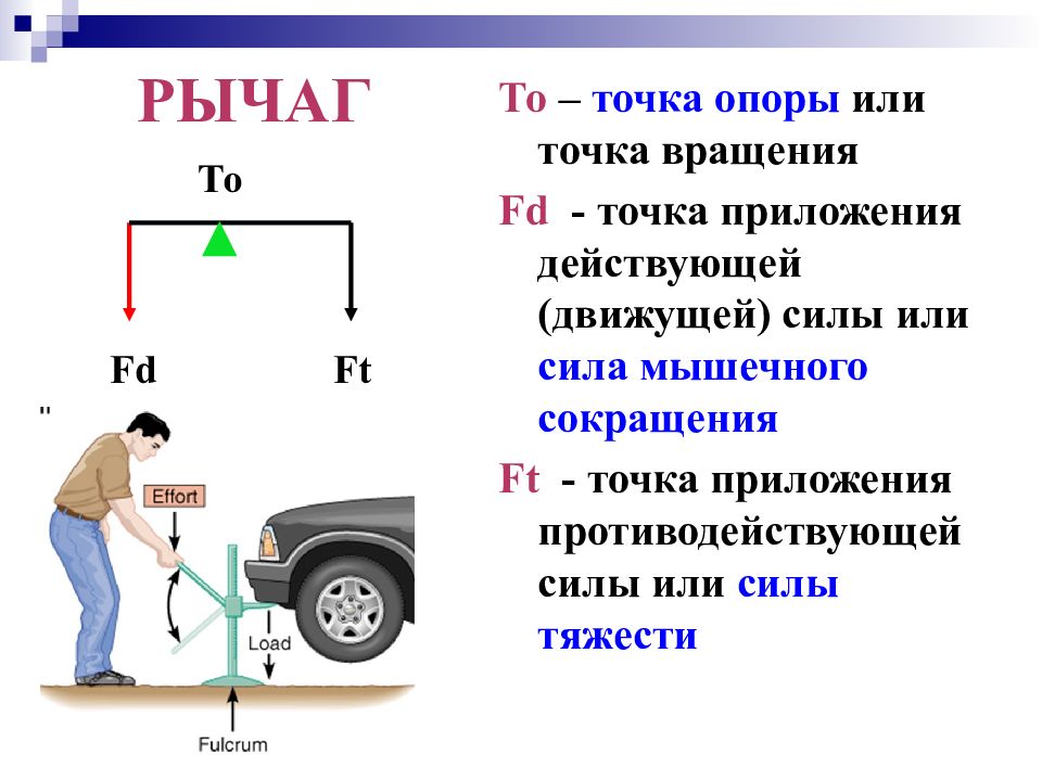 Точка приложения груза