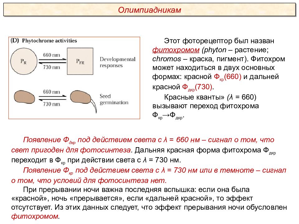 Презентация экология экологические факторы пименов