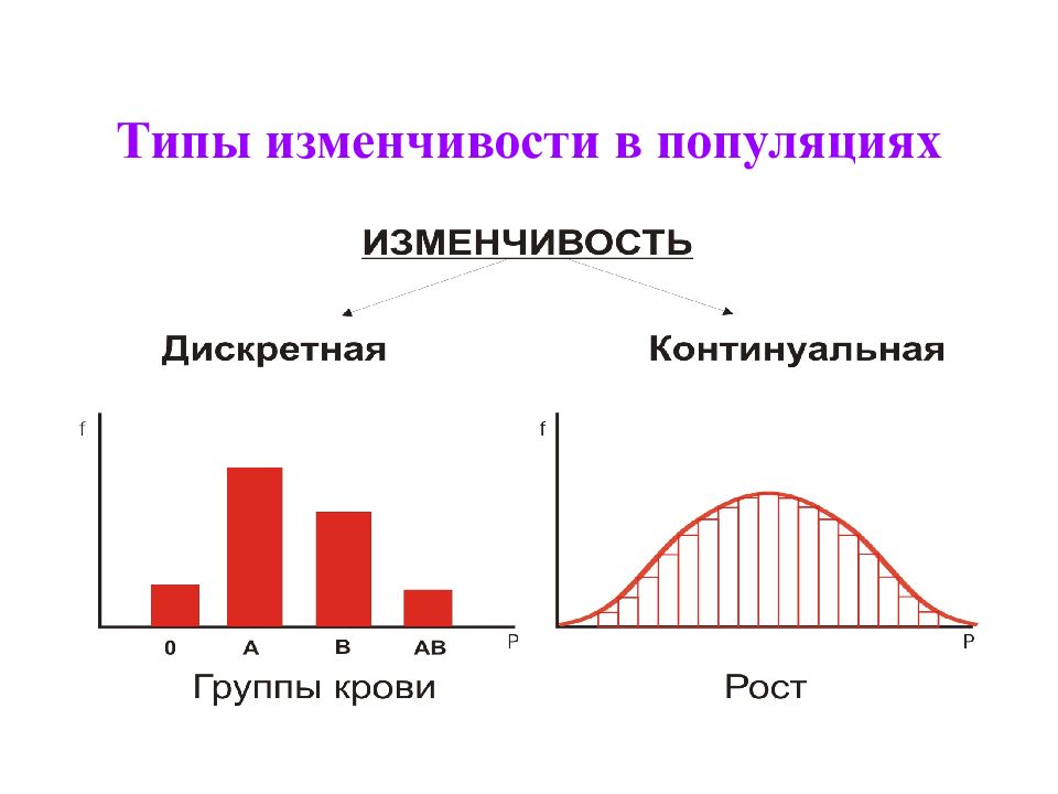 2 изменчивость. Изменчивость популяции. Популяционная изменчивость. Генетическая изменчивость в популяции. Дискретная изменчивость.