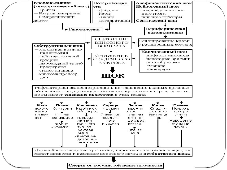 Схема патогенеза кардиогенного шока