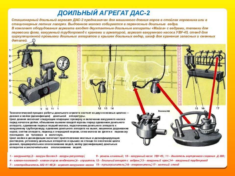 Принцип работы доильного аппарата