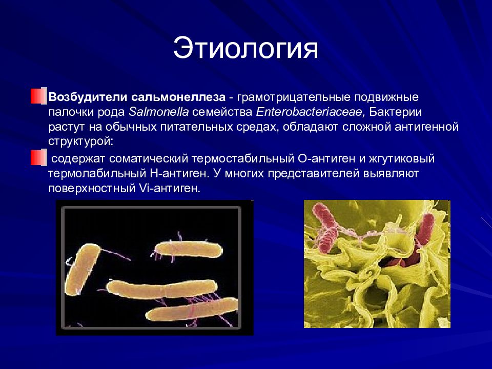 Сальмонеллез презентация кратко