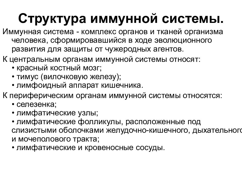 Схема иммунной системы человека