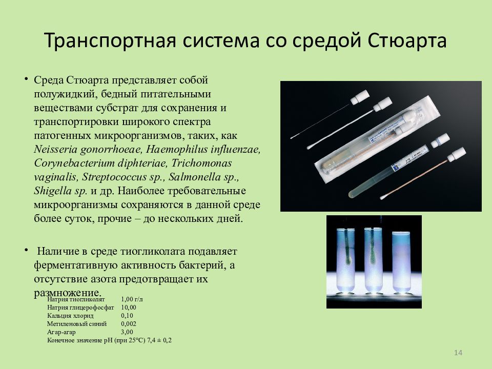 Питательные среды микробиология презентация