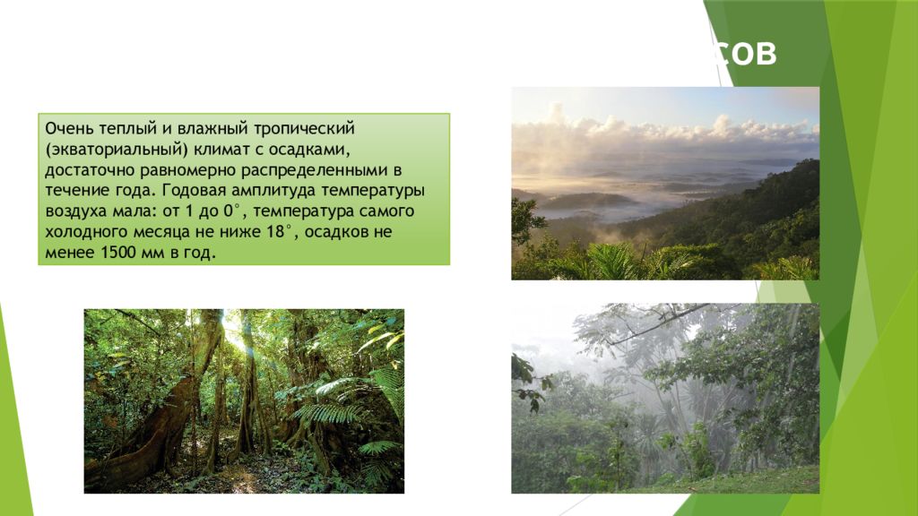 Природная зона влажные экваториальные леса особенности климата. Вечнозеленый тропический лес климат. Климат тропических лесов биом. Вечнозеленые тропические и экваториальные леса. Влажные тропические леса климат.