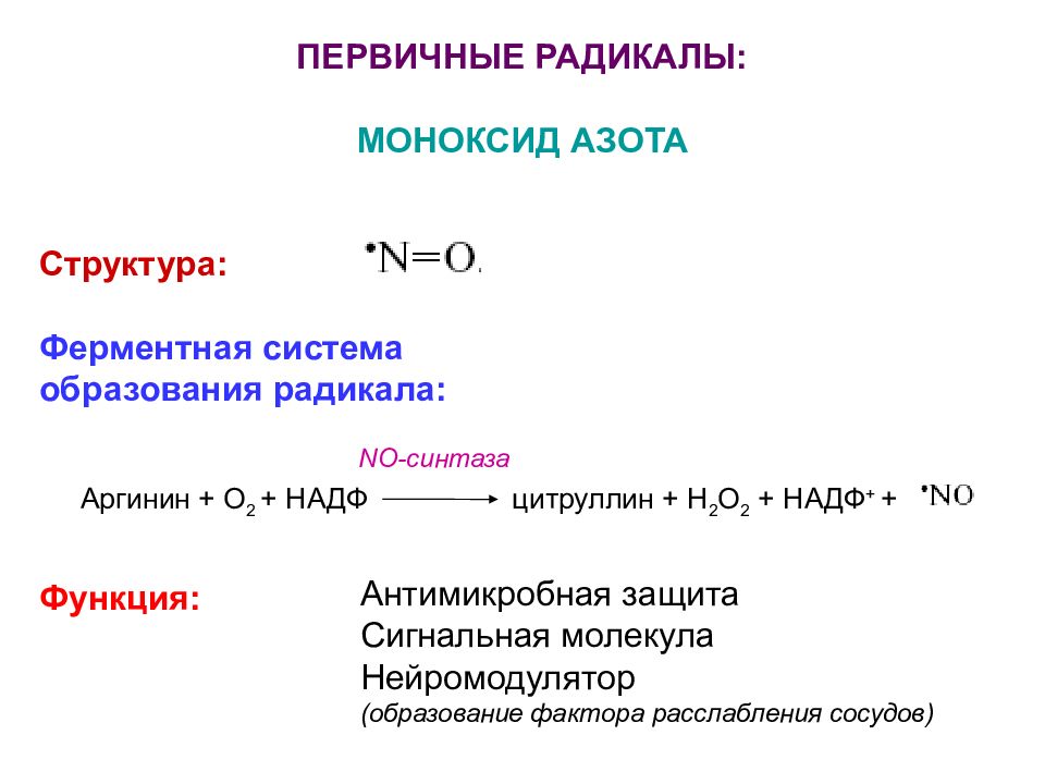 Главный радикал