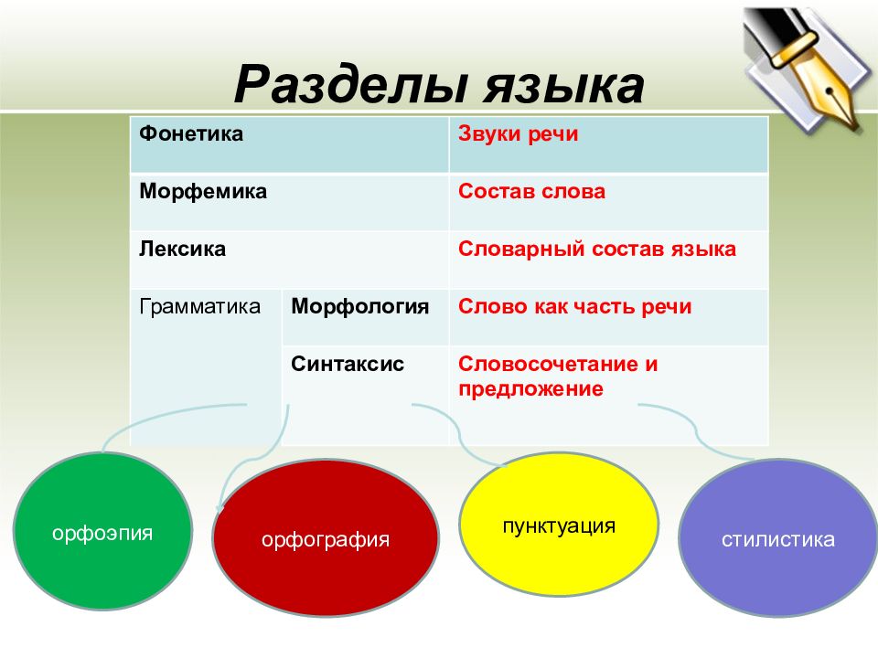 Лексика и грамматика. Разделы языка. Грамматика лексика фонетика это. Разделы языка грамматика лексика фонетика. Разделы фонетики русского языка.