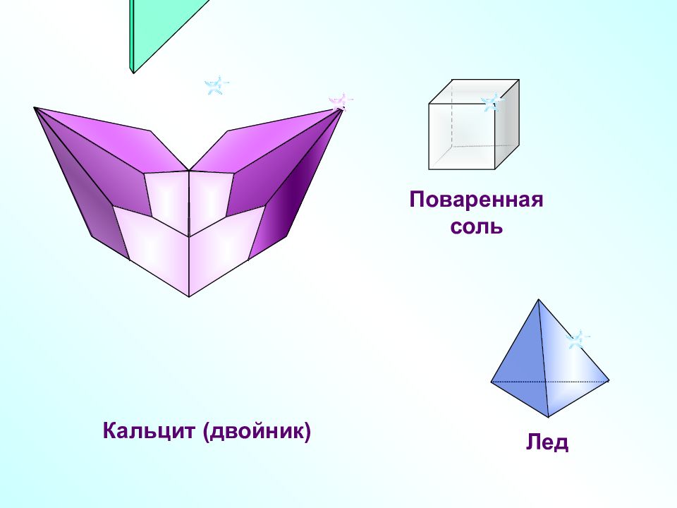 Презентация симметрия в природе геометрия 10 класс