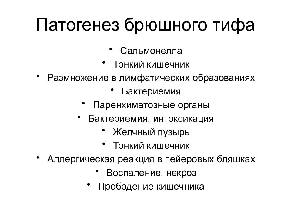 Патогенез брюшной тиф схема