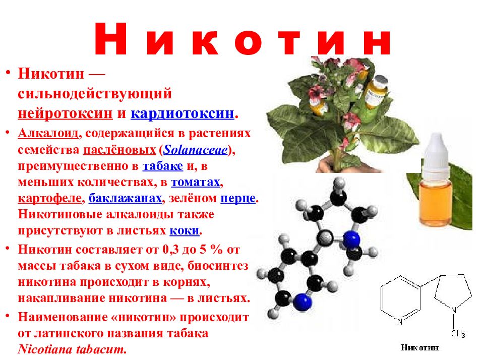 Презентация по химии алкалоиды