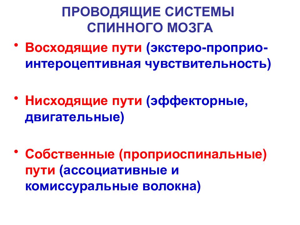 Проводящие пути спинного мозга презентация