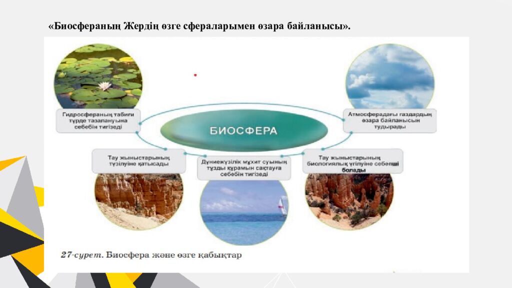 Қайырлы күн,оқушылар!