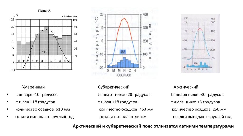 Арктический тип климата. Климатограммы субарктический. Климатограмма субарктического пояса. Субарктический климатический пояс климатограмма. Субарктический Тип климата климатограмма.