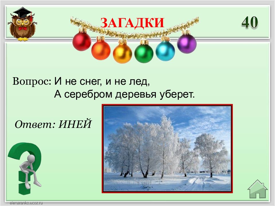 Иней вопросы. Не снег не лед а серебром деревья уберет загадка. И не снег и не лёд а серебром деревья уберёт ответ на загадку. Загадка про иней. Загадки про лед.