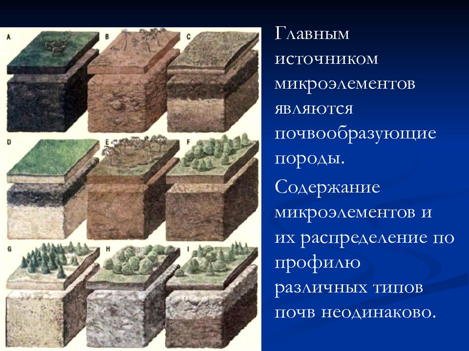 Породы грунтов. Виды грунта. Разные виды грунтов. Типы почвообразующих пород. Типы почв для строительства.