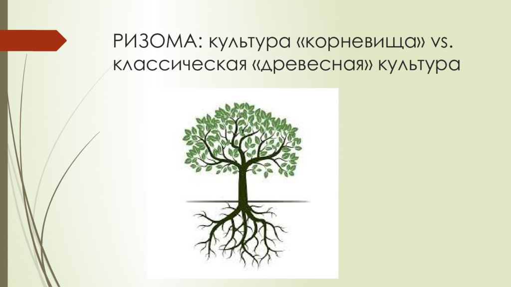 Ризома. Ризома в философии. Ризома постмодернизм. Ризома корневище. Ризома в философии постмодернизма это.