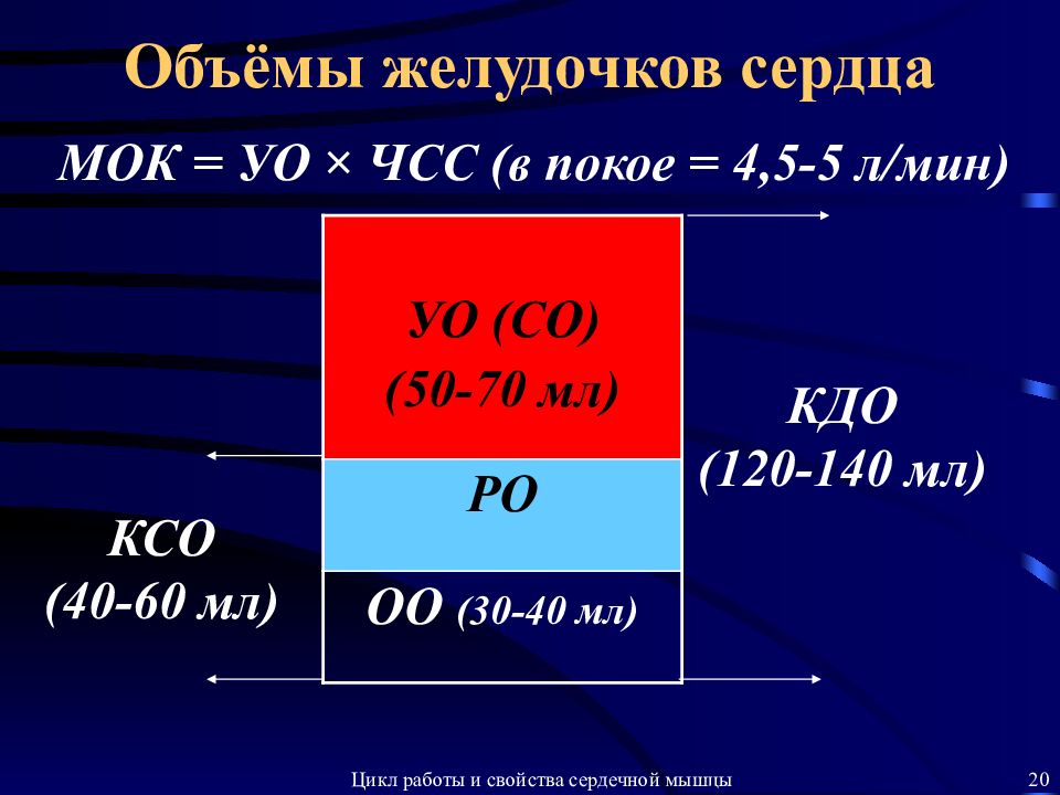 Объем сердца. ЧСС МОК УО сердца. Объем желудочков сердца. Минутный объем кровообращения. Должный минутный объем кровообращения.