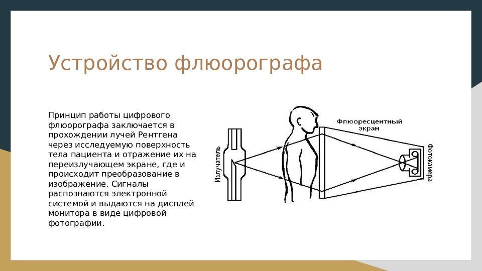 Устройство на работу через. Устройство флюорографа. Принцип работы флюорографа. Схема работы флюорографа. Флюорография принцип работы.