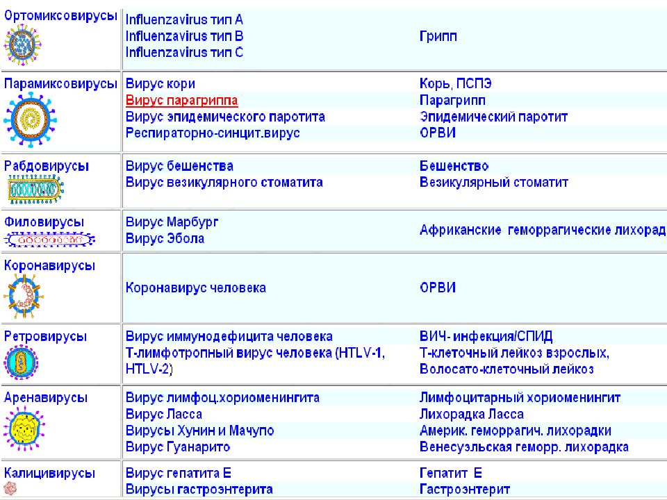 Характерные особенности вирусов