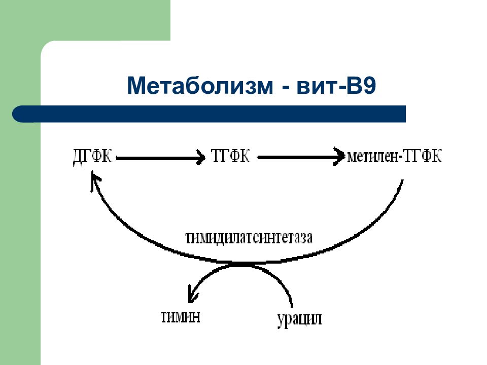 Биохимия витамины биохимия презентация